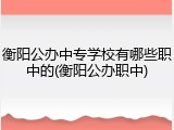 衡阳公办中专学校有哪些职中的(衡阳公办职中)