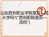 山东胜利职业学院是双一流大学吗?("胜利职院是双一流吗")