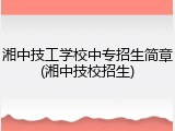 湘中技工学校中专招生简章(湘中技校招生)