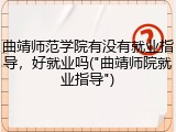 曲靖师范学院有没有就业指导，好就业吗("曲靖师院就业指导")