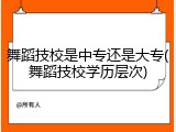 舞蹈技校是中专还是大专(舞蹈技校学历层次)