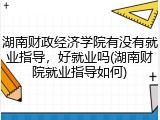 湖南财政经济学院有没有就业指导，好就业吗(湖南财院就业指导如何)