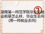 湖南第一师范学院毕业后就业前景怎么样，毕业生去向(湘一师就业去向)