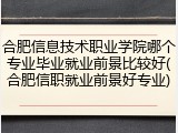 合肥信息技术职业学院哪个专业毕业就业前景比较好(合肥信职就业前景好专业)