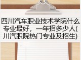 四川汽车职业技术学院什么专业最好，一年招多少人(川汽职院热门专业及招生)