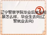 辽宁警察学院毕业后就业前景怎么样，毕业生去向(辽警就业去向)