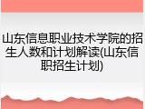山东信息职业技术学院的招生人数和计划解读(山东信职招生计划)