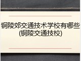 铜陵郊交通技术学校有哪些(铜陵交通技校)