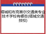 塔城和布克赛尔交通类专业技术学校有哪些(塔城交通技校)