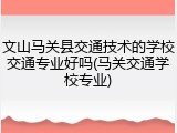 文山马关县交通技术的学校交通专业好吗(马关交通学校专业)
