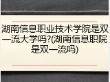 湖南信息职业技术学院是双一流大学吗?(湖南信息职院是双一流吗)