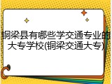 铜梁县有哪些学交通专业的大专学校(铜梁交通大专)