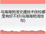 乌海海勃湾交通技术技校哪里有好不好(乌海海勃湾技校)