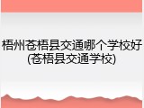 梧州苍梧县交通哪个学校好(苍梧县交通学校)