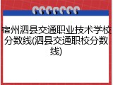 宿州泗县交通职业技术学校分数线(泗县交通职校分数线)