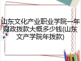 山东文化产业职业学院一年财政拨款大概多少钱(山东文产学院年拨款)