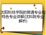 沈阳科技学院的普通专业和特色专业详解(沈科院专业解析)