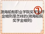 渤海船舶职业学院奖学金评定细则是怎样的(渤海船院奖学金细则)