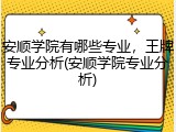 安顺学院有哪些专业，王牌专业分析(安顺学院专业分析)