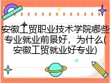 安徽工贸职业技术学院哪些专业就业前景好，为什么(安徽工贸就业好专业)