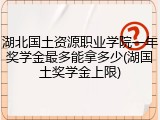 湖北国土资源职业学院一年奖学金最多能拿多少(湖国土奖学金上限)