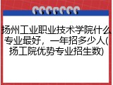 扬州工业职业技术学院什么专业最好，一年招多少人(扬工院优势专业招生数)