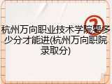 杭州万向职业技术学院要多少分才能进(杭州万向职院录取分)