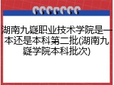 湖南九嶷职业技术学院是一本还是本科第二批(湖南九嶷学院本科批次)
