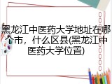 黑龙江中医药大学地址在哪个市，什么区县(黑龙江中医药大学位置)
