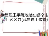 武昌理工学院地址在哪个市，什么区县(武昌理工位置)