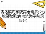青岛滨海学院高考需多少分能录取呢(青岛滨海学院录取分)