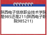 陕西电子信息职业技术学院是985还是211(陕西电子职院985211)