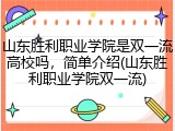 山东胜利职业学院是双一流高校吗，简单介绍(山东胜利职业学院双一流)