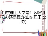 山东理工大学是什么级别，公办还是民办(山东理工 公办)