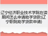 辽宁经济职业技术学院在读期间怎么申请助学贷款(辽宁职院助学贷款申请)