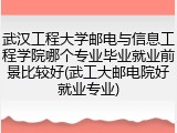 武汉工程大学邮电与信息工程学院哪个专业毕业就业前景比较好(武工大邮电院好就业专业)