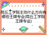商丘工学院主攻什么方向有哪些王牌专业(商丘工学院王牌专业)
