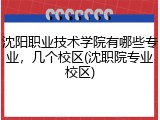 沈阳职业技术学院有哪些专业，几个校区(沈职院专业校区)