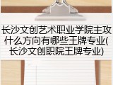 长沙文创艺术职业学院主攻什么方向有哪些王牌专业(长沙文创职院王牌专业)