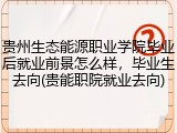 贵州生态能源职业学院毕业后就业前景怎么样，毕业生去向(贵能职院就业去向)