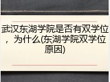 武汉东湖学院是否有双学位，为什么(东湖学院双学位原因)