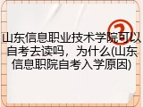 山东信息职业技术学院可以自考去读吗，为什么(山东信息职院自考入学原因)