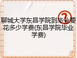聊城大学东昌学院到毕业要花多少学费(东昌学院毕业学费)