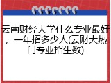 云南财经大学什么专业最好，一年招多少人(云财大热门专业招生数)