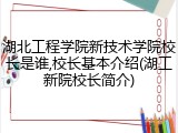 湖北工程学院新技术学院校长是谁,校长基本介绍(湖工新院校长简介)