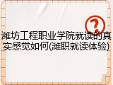 潍坊工程职业学院就读的真实感觉如何(潍职就读体验)