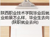 陕西职业技术学院毕业后就业前景怎么样，毕业生去向(陕职就业去向)