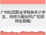 广州松田职业学院有多少学生，师资力量如何(广松田师生规模)