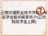 云南交通职业技术学院一年奖学金最多能拿多少(云交院奖学金上限)