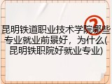 昆明铁道职业技术学院哪些专业就业前景好，为什么(昆明铁职院好就业专业)